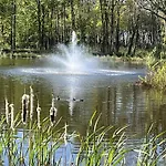 Pine Boutique With Hot Tub For Couples & Dog York