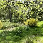 Pine Boutique With Hot Tub For Couples & Dog York