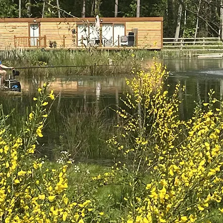 Pine Boutique With Hot Tub For Couples & Dog Semesterbostad York