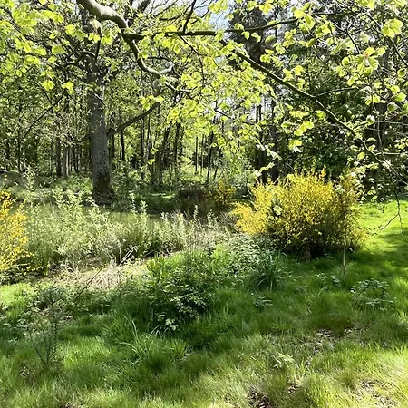 Pine Boutique With Hot Tub For Couples & Dog York