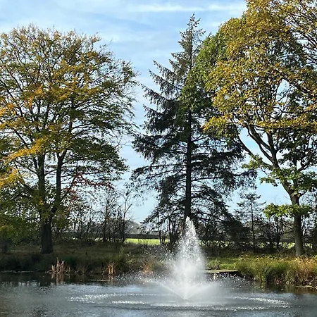 Pine Boutique With Hot Tub For Couples & Dog Holiday home York