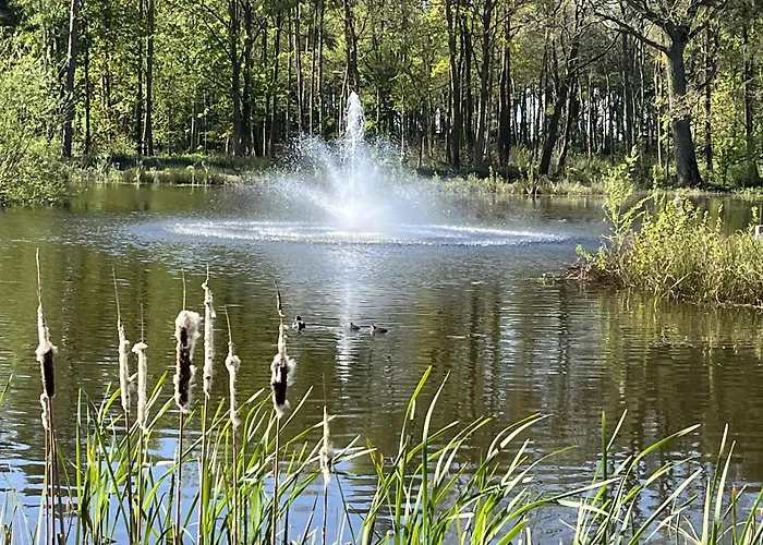 Pine Boutique With Hot Tub For Couples & Dog York