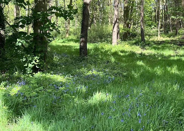 Pine Boutique With Hot Tub For Couples & Dog Сasa de vacaciones