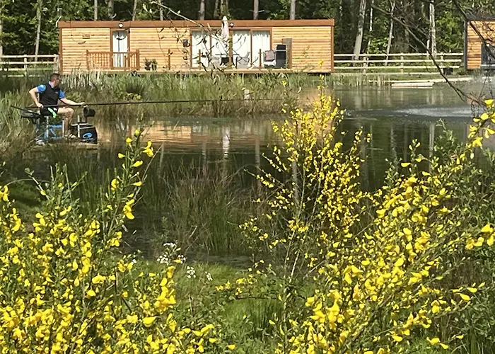 Pine Boutique With Hot Tub For Couples & Dog Сasa de vacaciones York