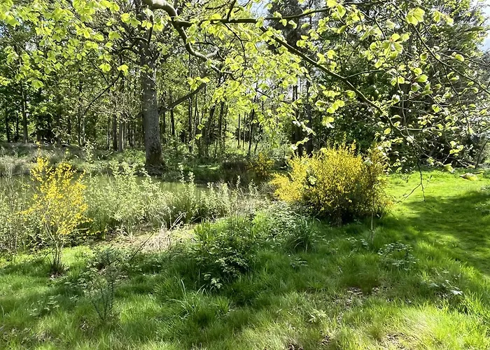 Pine Boutique With Hot Tub For Couples & Dog York