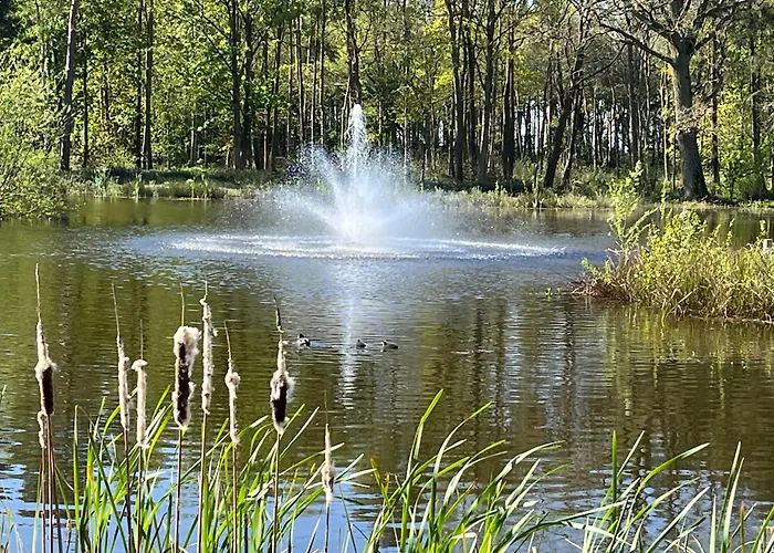 Pine Boutique With Hot Tub For Couples & Dog