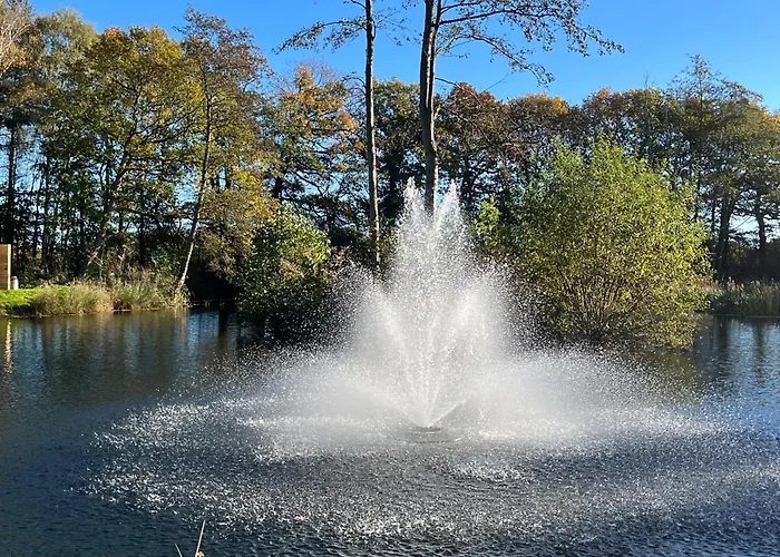 Сasa de vacaciones Pine Boutique With Hot Tub For Couples & Dog York