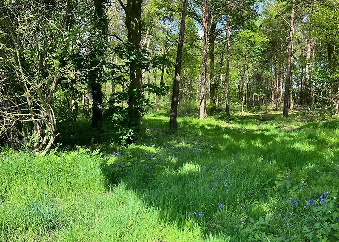 Сasa de vacaciones Pine Boutique With Hot Tub For Couples & Dog