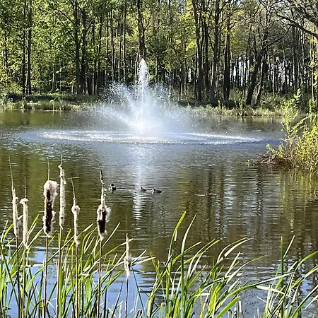 Pine Boutique With Hot Tub For Couples & Dog York