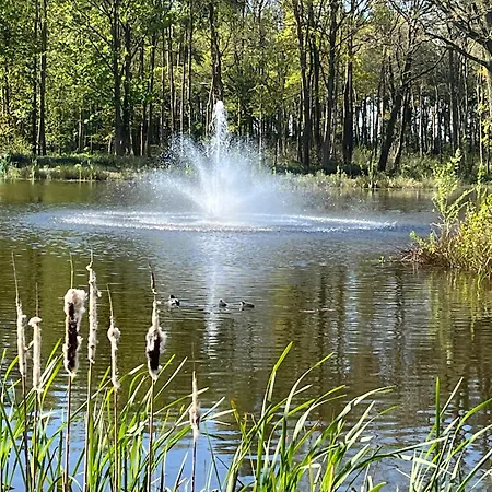 Pine Boutique With Hot Tub For Couples & Dog