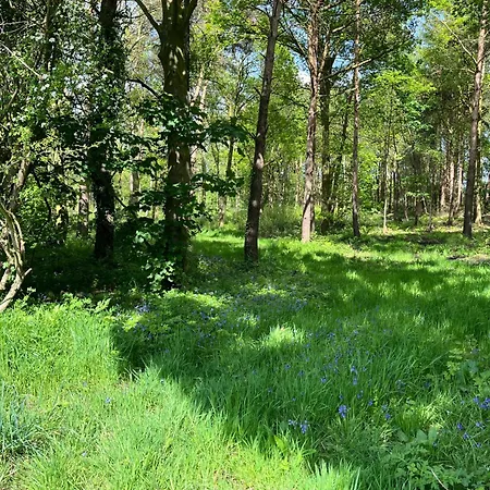 Ferienhaus Pine Boutique With Hot Tub For Couples & Dog